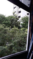 Blk 225A Compassvale Walk (Sengkang), HDB 4 Rooms #449286931